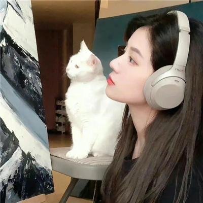 双生杀手